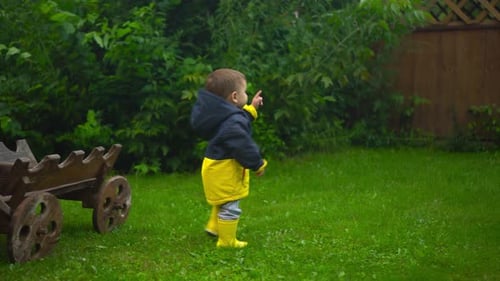 A Little Boy Walks in the Garden After the Rain The Child Smiles As He Walks on the Grass Boy in