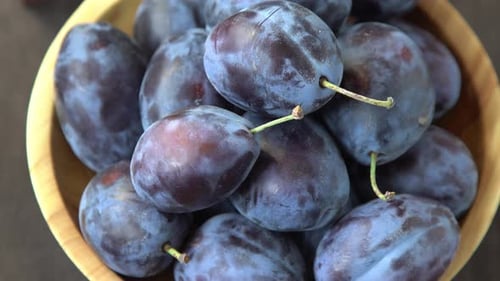 Plum Variety Hungarian Fruit Harvest on the Table in the Kitchen Autumn Blue Plum Vitamin Food