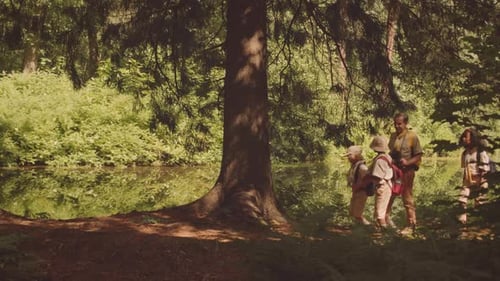 Scout Troop Hiking in Forest on Sunny Day