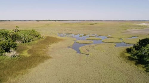 Wetland Marshes Swamp down South on the Water with tall grasses - drone approaching