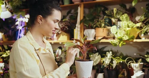 Young Adult Woman tending Indoor Potted Plant
