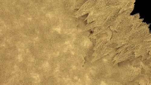 Golden Sand Particle Transition Reveal