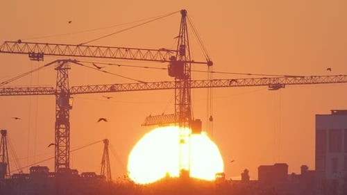 Tower Cranes Silhouetted at Sunset Urban Construction Time-Lapse Footage