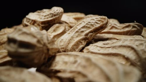 Macro close up isolate footage of a lot raw peanut or groundnut with peel and unpeel for ingredient