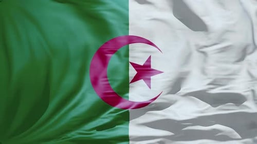 Realistic Waving Algeria Flag Animation