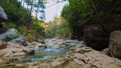 Felsiger Waldbach mit kleinem Wasserfall und türkisfarbenem Wasser in ruhiger Natursicht