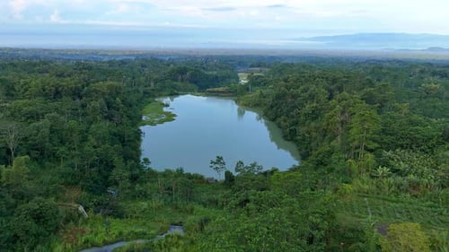 A lake in the middle of the jungle.