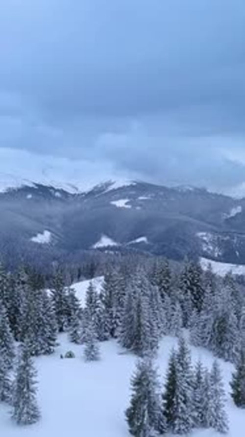 Snowcovered Mountains and Evergreen Forests Under Cloudy Sky During Winter