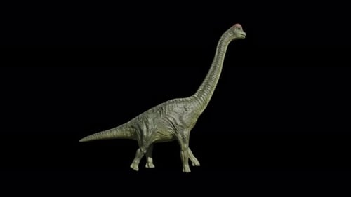 Brachiosaurus Dinosaur Walking Side View