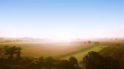 Aerial Drone View. Beautiful Nature, Wide View on Rural Countryside Landscape, Corn Fields, and Road