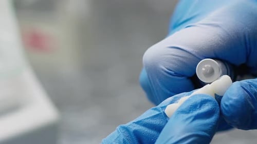 Creating Artificial Teeth in a Dental Lab