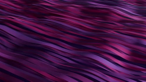 Seamless loop background with elegant waves of maroon and purple ribbons floating in the dark