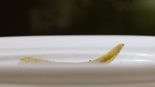 Close Up of Potato Chips Crisps Tumbling on China Plate Outdoors
