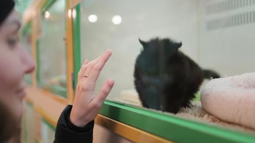 Cute Puppy Playing with Cheerful Girl in Pet Shop