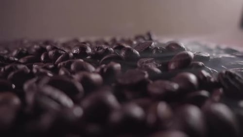 Close Up of Steaming Roasted Coffee Beans