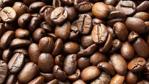 Close-Up of Coffee Beans