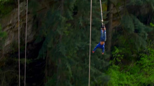 Exhilarating bungee jumping adventure with friends in the forests of vancouver island