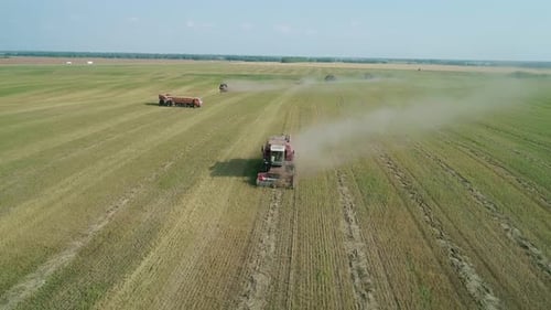 Aerial View of Combines Harvesting in the Green Field Harvester Agriculture Machines Work