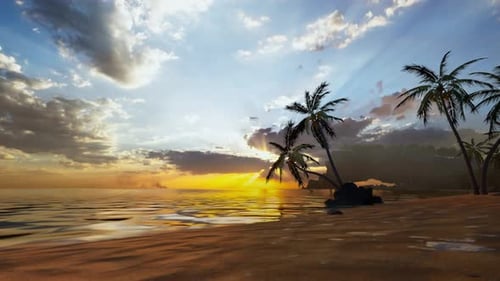 Sunrise On Tropical Island Sea Beach, Calm Ocean Sunset, Palm Tree Leaves Silhouette