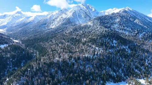 Aerial panorama of snowy Caucasus mountains and dark forest