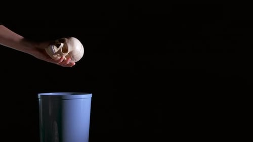 Skull Tossed into Bin on Black Background