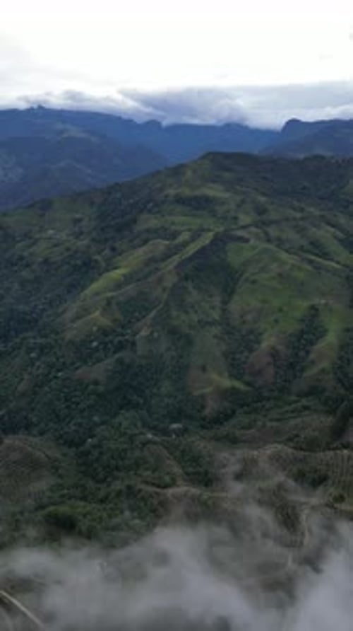 Aerial video over Salento towards a lush forested valley in the mountains of Colombia, Colombia