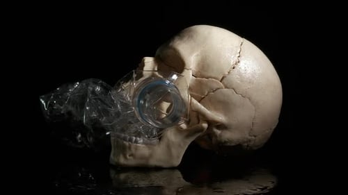 Skull with Plastic Bottle in Mouth on Black