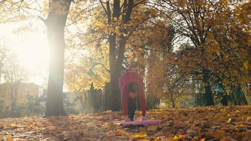 Woman Doing Yoga in Autumn Park