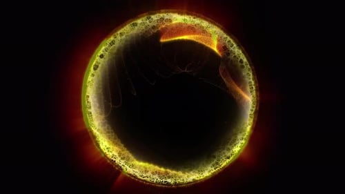 Paradise From A Dream