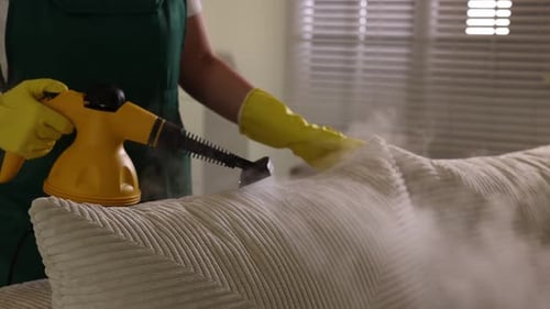 Steaming and Sanitizing Couch with Upholstery Cleaner