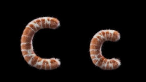 3D animation of a uppercase and lowercase Giraffe woolen letter C