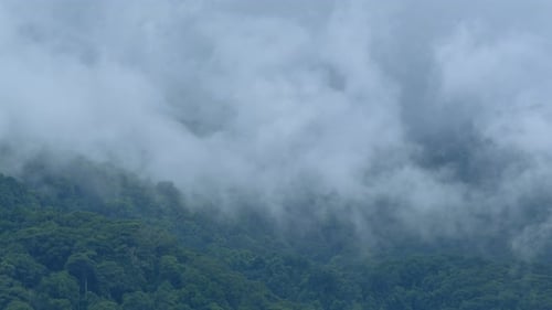 Lush Green Mountain Shrouded in White Clouds