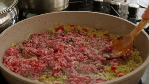 Cooking Ground Meat with Vegetables on a Stove
