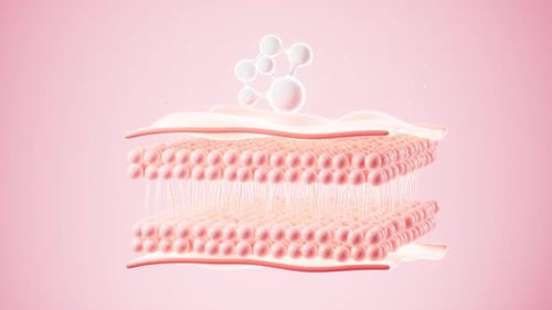 Human skin layer. Human skin cells.Used for cosmetics advertisements, skin care. 3d rendering.