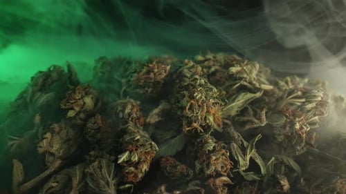 Pile of Herbs with Green Lighting and Smoke