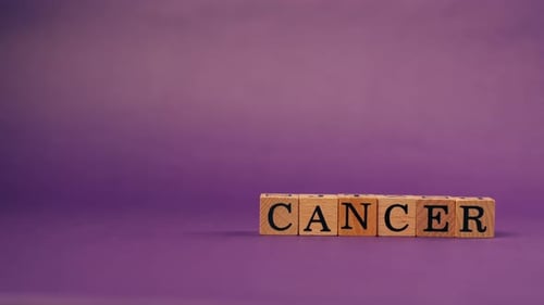 Purple Warm Background with Shadows Wooden Cubes with Black Letters and Laid Out Words From Letters