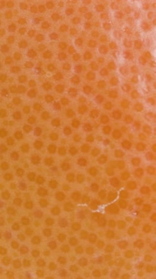Vertical video. Speckled texture of an orange grapefruit. Macro, rotation.