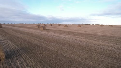 Haystacks Against A Beautiful Sky