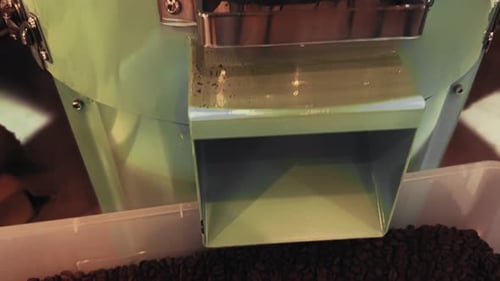 Coffee Beans Poured into Industrial Roasting Machine