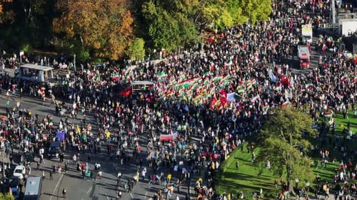 Aerial View of Crowded Protest in City Park