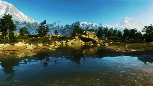 Blue Water in a Forest Lake with Pine Trees