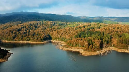 Forest in Autumn with Trees Near a Lake in the Mountains Aerial View