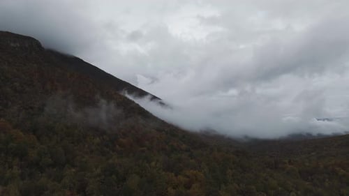 Vast Mountain Forest With Fog In Autumn
