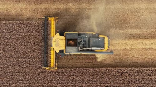 Combine Harvesting Wheat Aerial View on Sunny Day