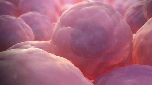 Microscopic view of cancer cells in a medical research setting