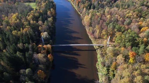 Autumn landscape with a river and bridge in a forested area