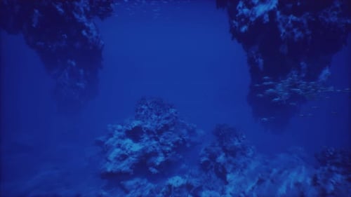 Erkundung des tiefblauen Meeres unter majestätischen Unterwasserfelsformationen