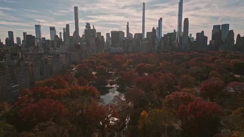 New York City Central Park Top View with Autumn Tree Autumn Central Park View From Drone Aerial of