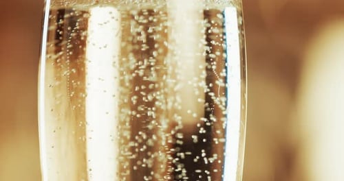 Champagne, alcohol and bubbly booze in glass to cheers, toast and celebrate with for anniversary