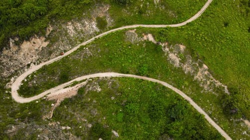 Vista aérea de una carretera sinuosa entre el bosque